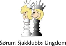 NM for skolelag 2012