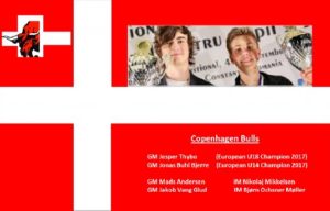 Danske Copenhagen Bulls vant Nordic Online Chess League
