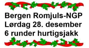 Bergen Romjuls-NGP