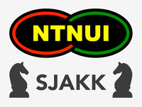 NTNUI Maratonlyn